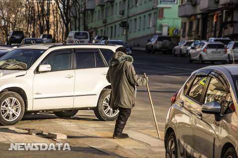 Региональные власти помогут российским пенсионерам