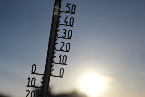 Аномальную жару пообещали синоптики на начало июля европейской части России