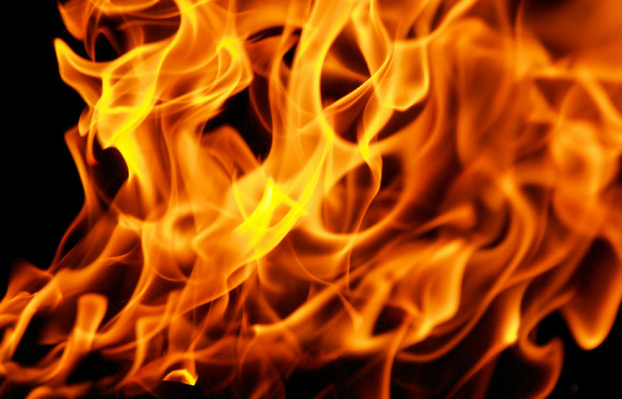Жители ЛНР за выходные более 100 раз устроили пожар