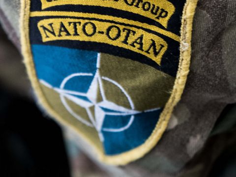 НАТО ищет способ зайти на Украину – немецкий депутат