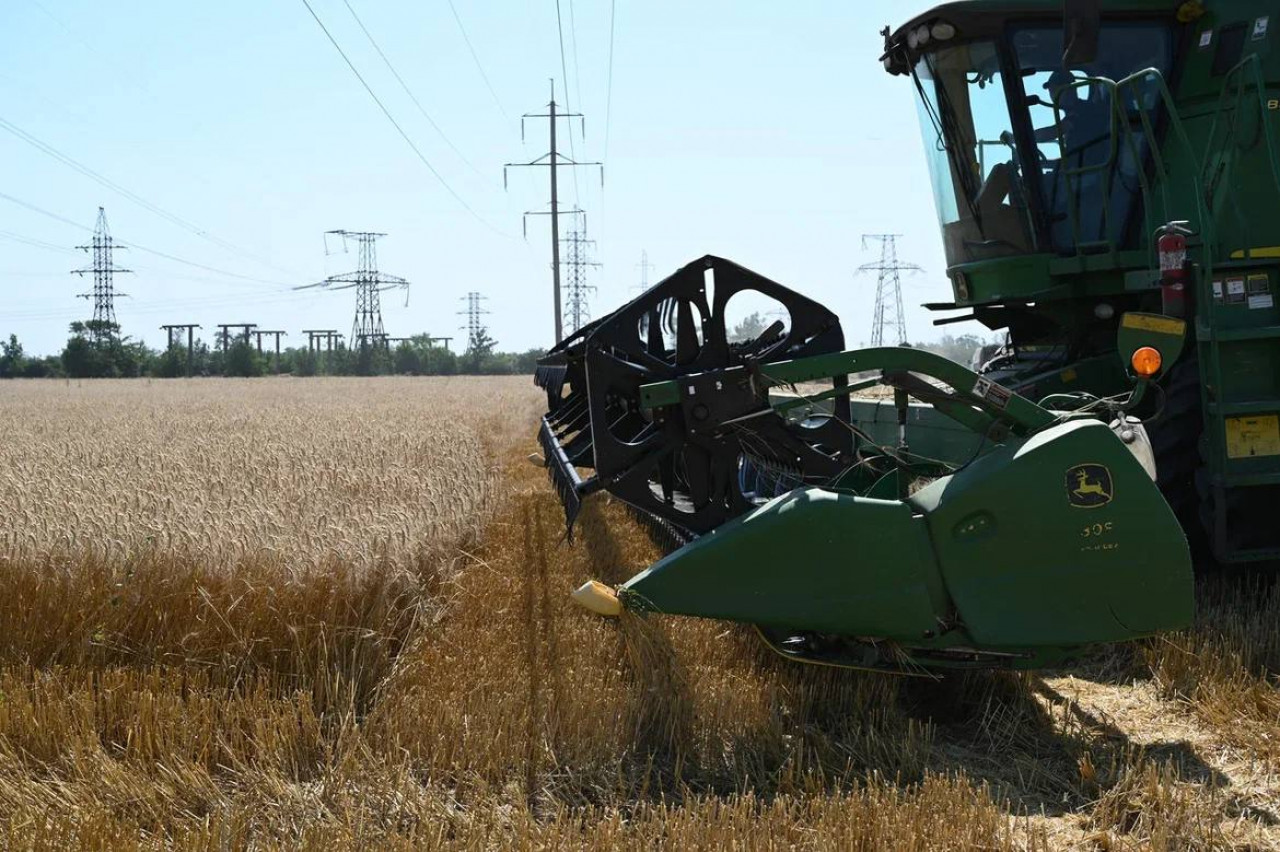 Запорожская область побила рекорды по сбору зерна в новых регионах