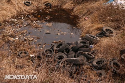 В России ищут новые решения для утилизации батареек