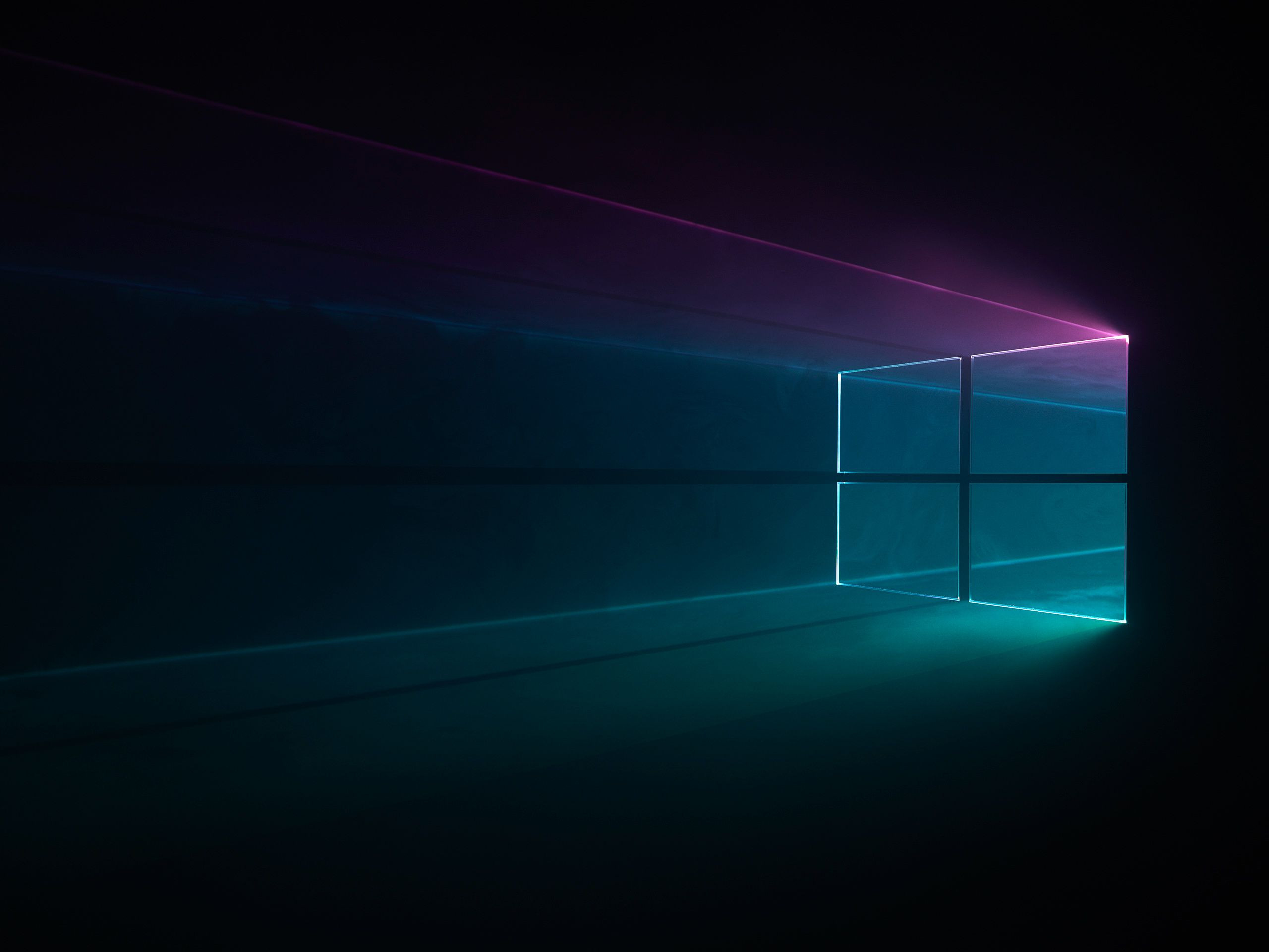 В Совфеде предложили отказаться от Windows на новых компьютерах в РФ