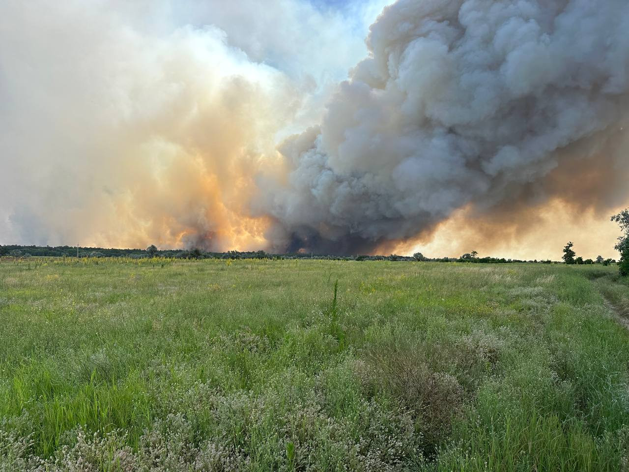 Из-за авиаудара горят херсонские леса – военнослужащие помогают тушить масштабные пожары