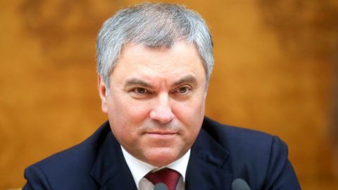 Володин предложил расширить основания для лишения приобретенного гражданства РФ