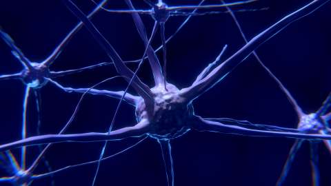 Китайские ученые: излучение 6G повлияет на клетки головного мозга