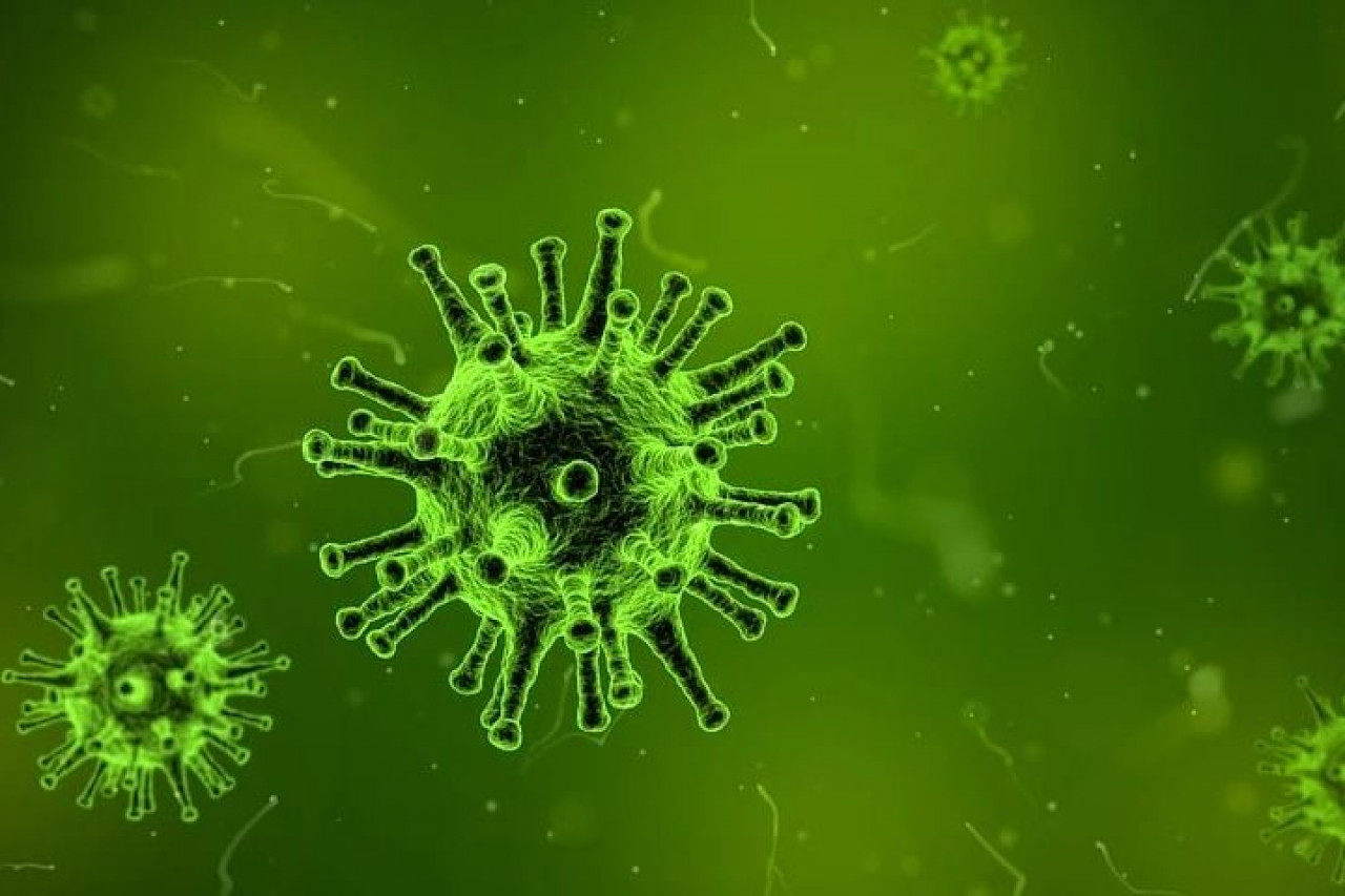 Заразнее предшественников – россиян предупредил об опасном новом штамме коронавируса