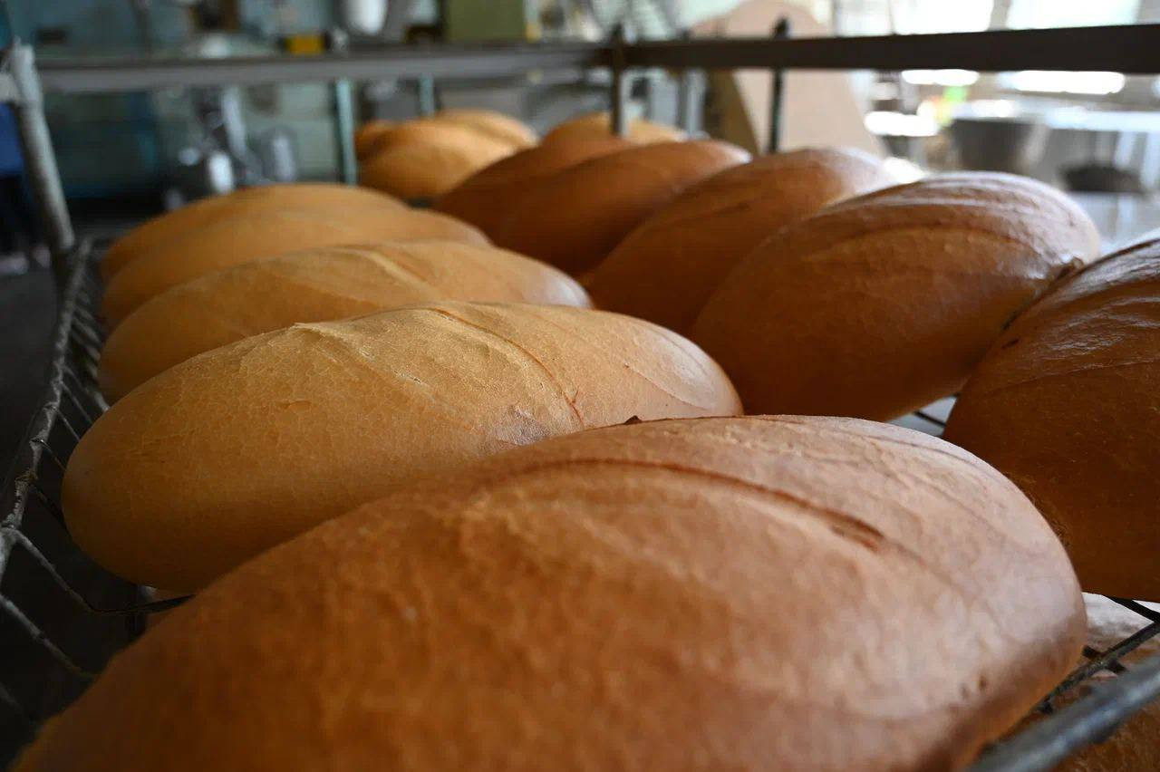 В Запорожской области усилят производство хлеба
