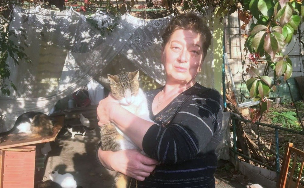 Около сотни кошек – жительница Северодонецка приютила брошенных животных