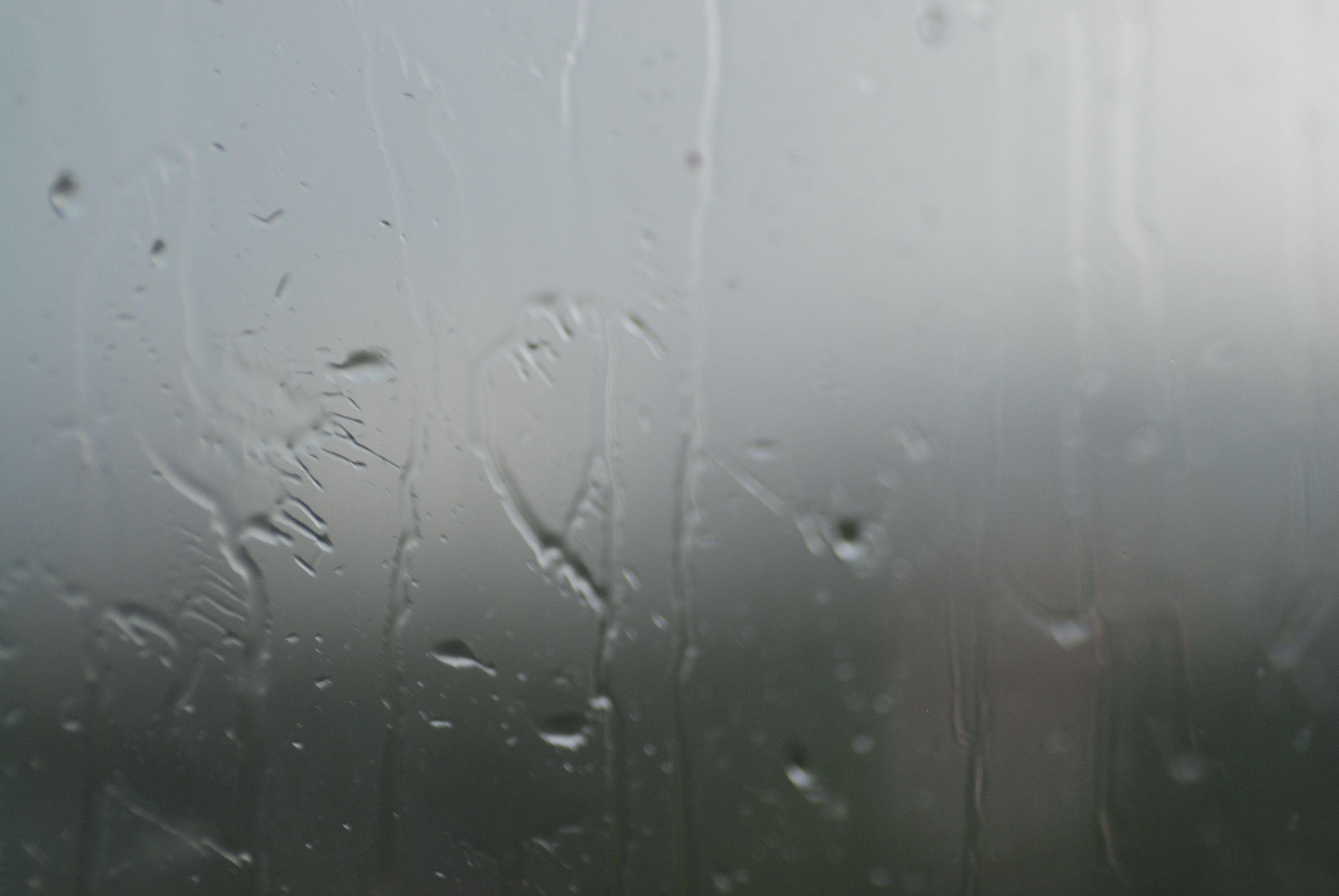 Ливни, шторм и гроза – какую погоду обещают жителям ЛНР и ДНР на 28 июля