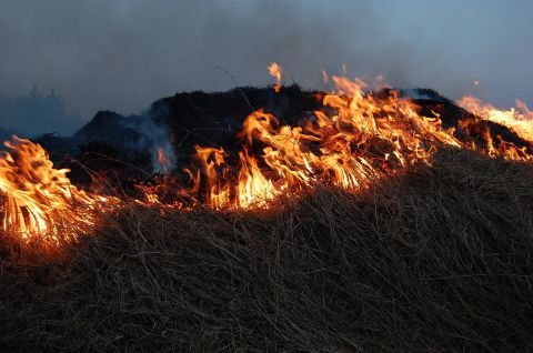 Пожарные отбили у огня 30 гектаров пшеницы в Краснодонском районе ЛНР