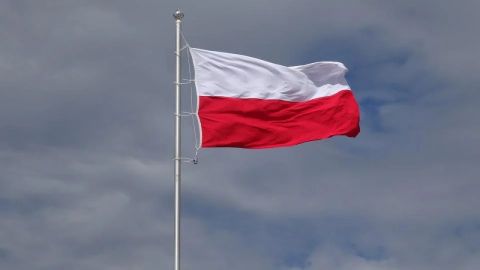 Польша требует от Франции ускорения поставок оружия Украине
